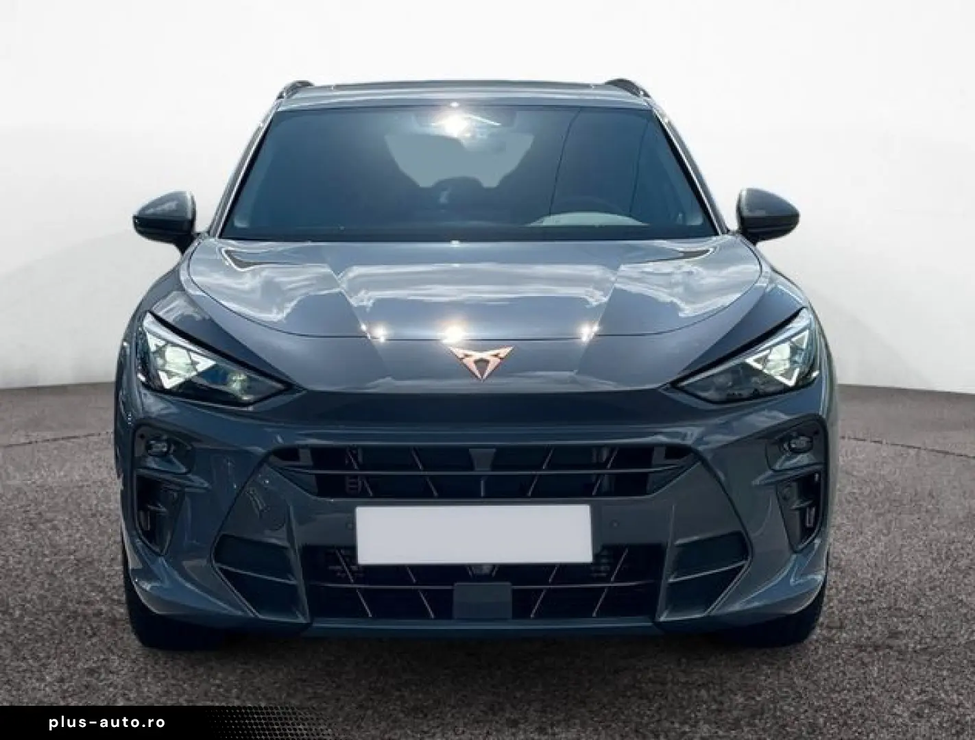 CUPRA Terramar 2.0 TSI  4Drive VZ 265 PS AHK Pano SHZ