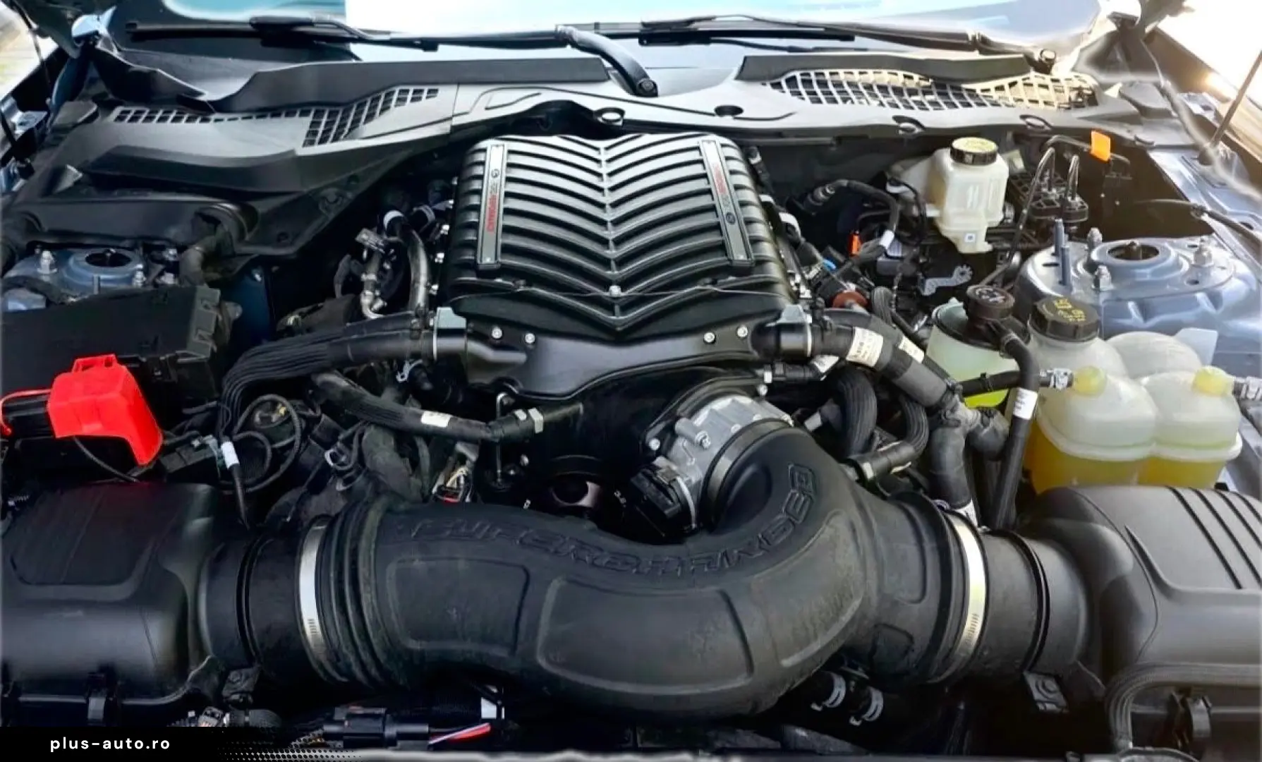 FORD Mustang 5.0 KOMPRESSOR 800 PS GTD PAKET-EXTREM