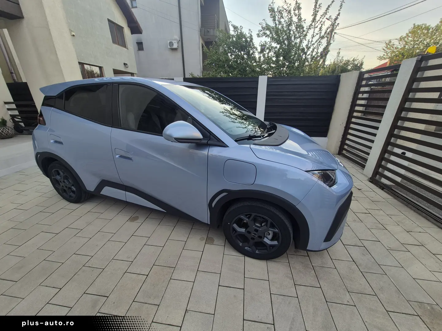 BYD DOLPHIN SURF