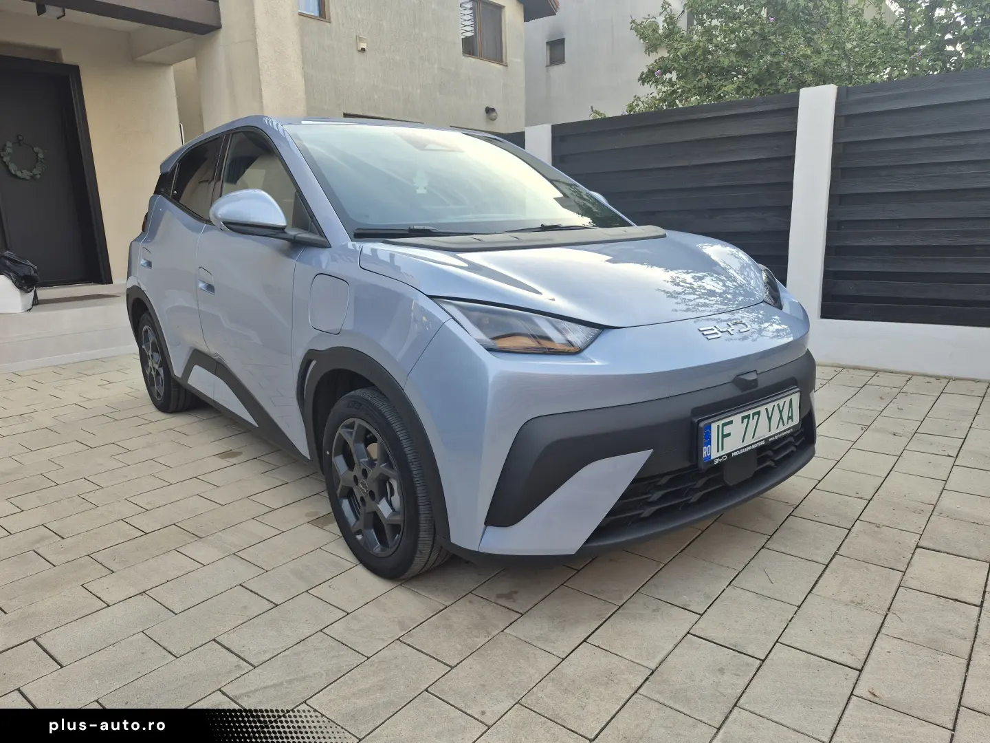 BYD DOLPHIN SURF