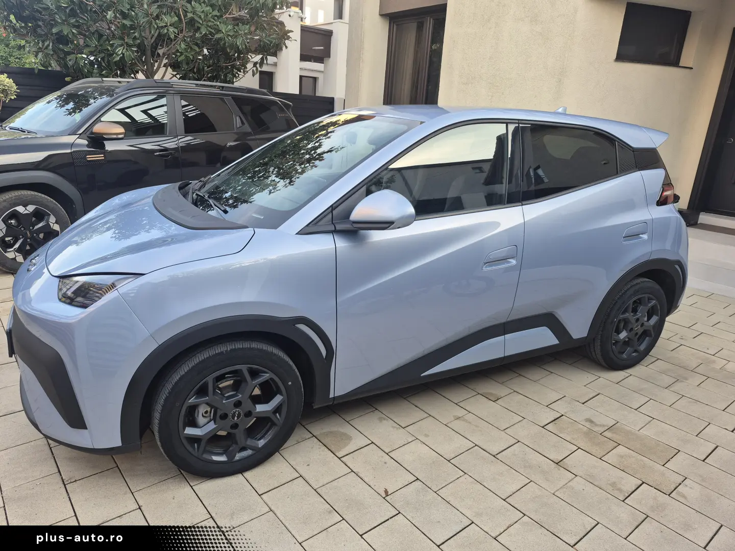 BYD DOLPHIN SURF