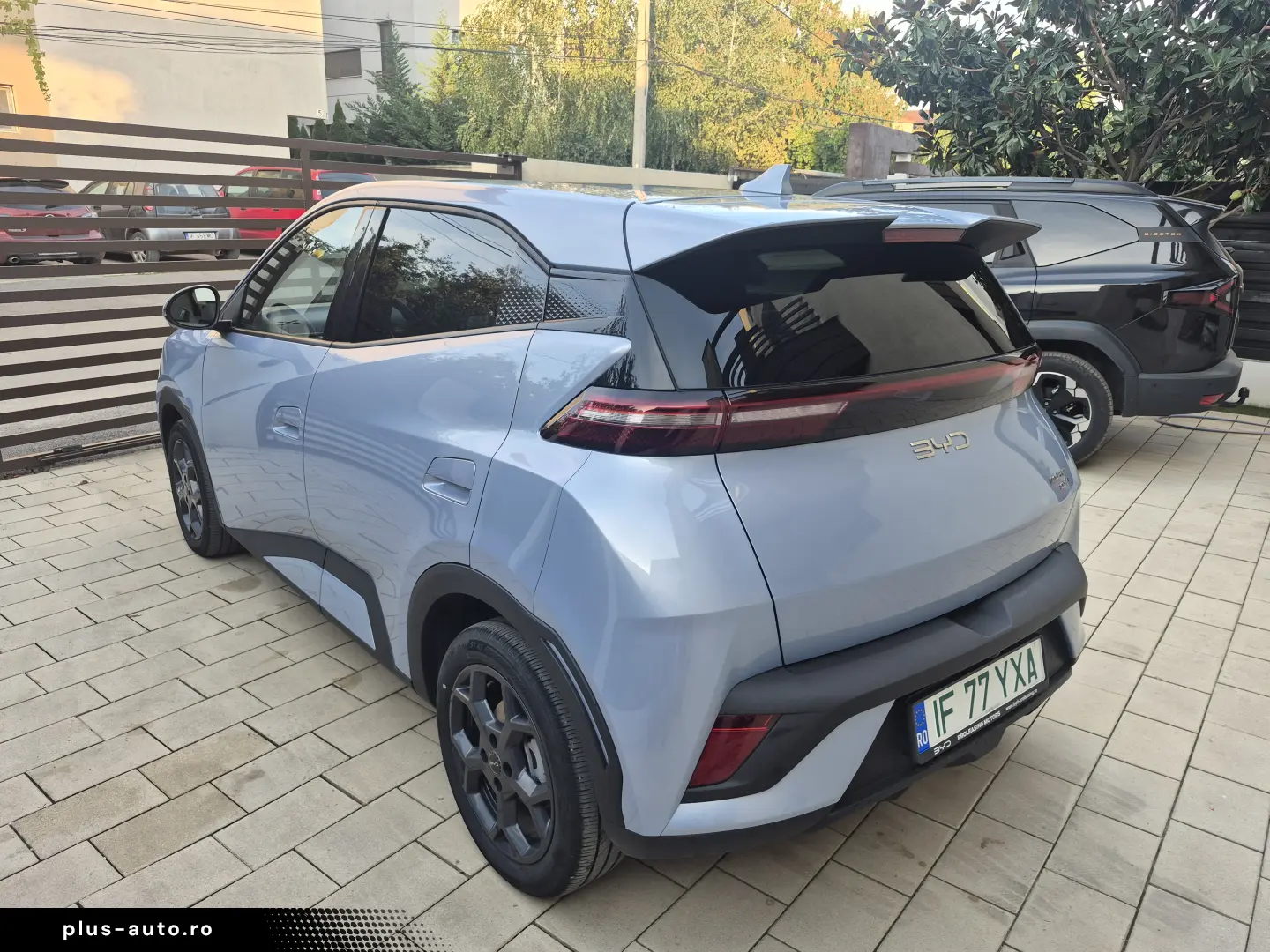BYD DOLPHIN SURF