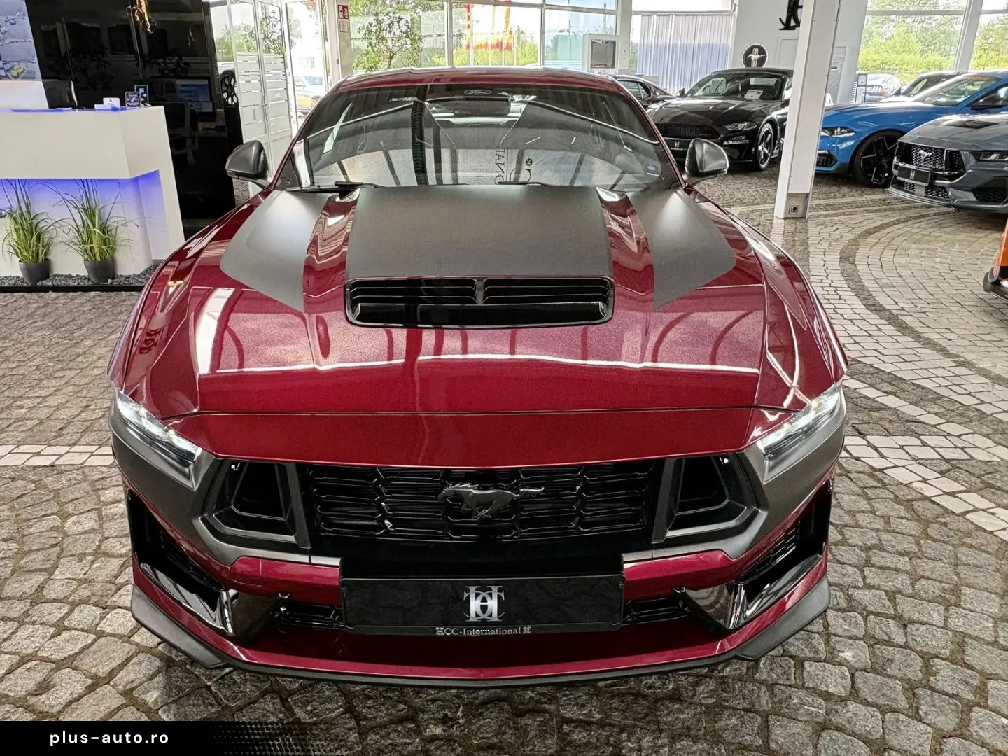 FORD Mustang 5.0 V8 DARK HORSE  20 Zoll   RECARO