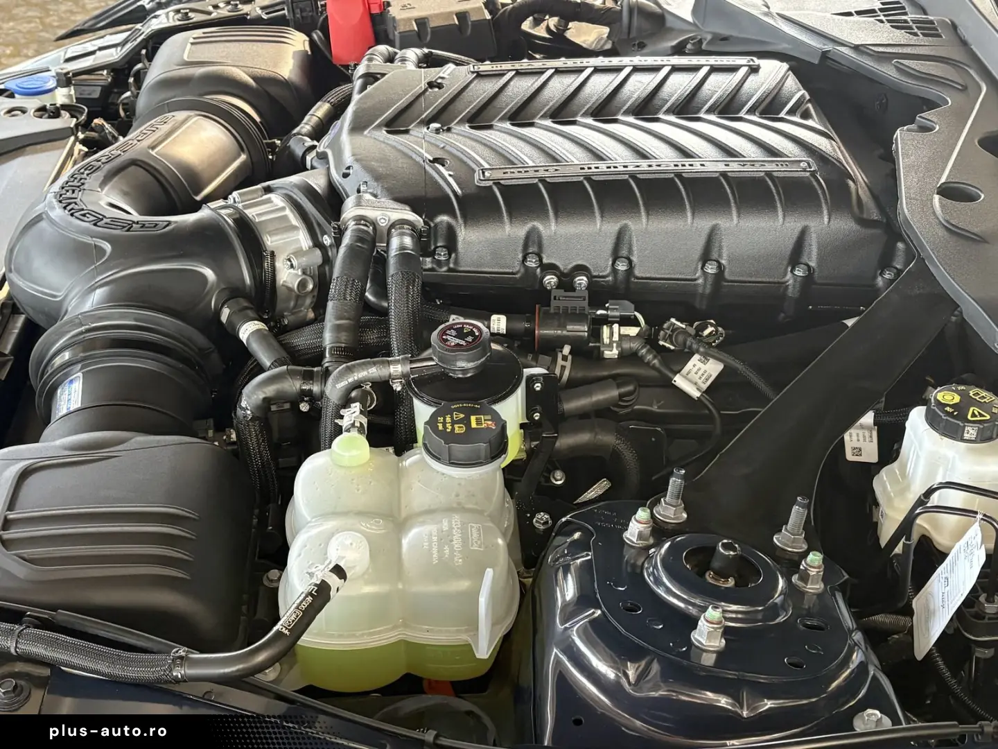 FORD Mustang 5.0 DARK HORSE SUPERCHARGED   750 PS