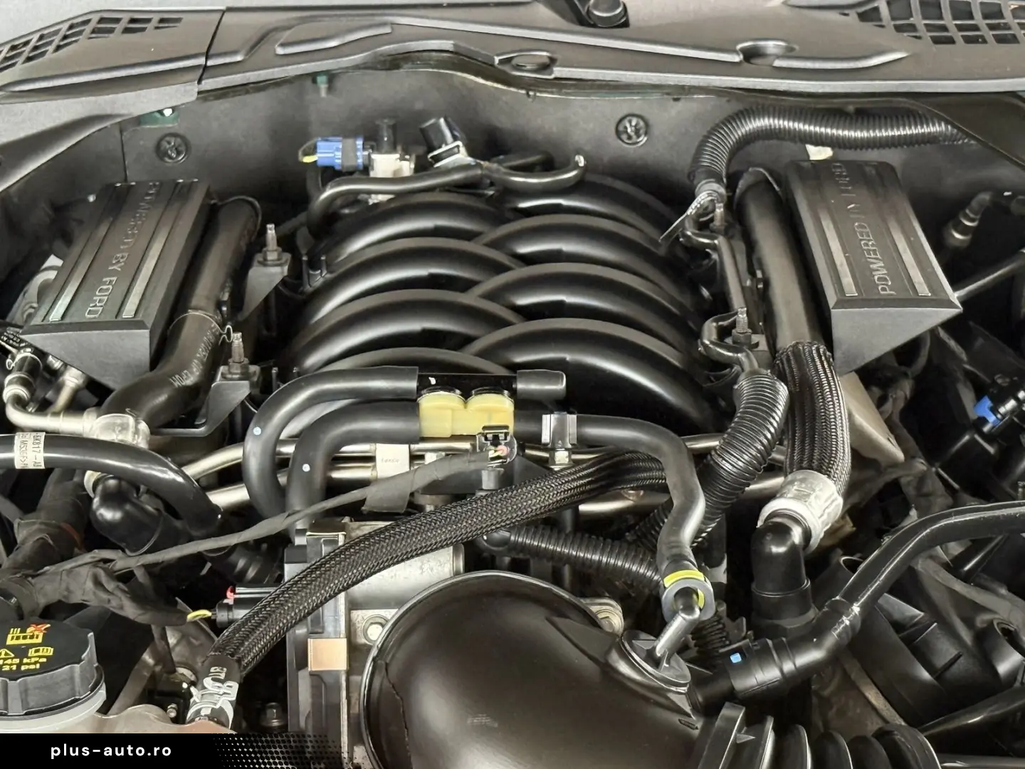 FORD Mustang 5.0 BULLITT 1.Hd   RECARO MagneRide