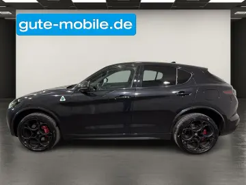 ALFA ROMEO Stelvio 2.9 Quadrifoglio Q4  PANORAMIC