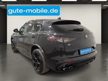 ALFA ROMEO Stelvio 2.9 Quadrifoglio Q4  PANORAMIC