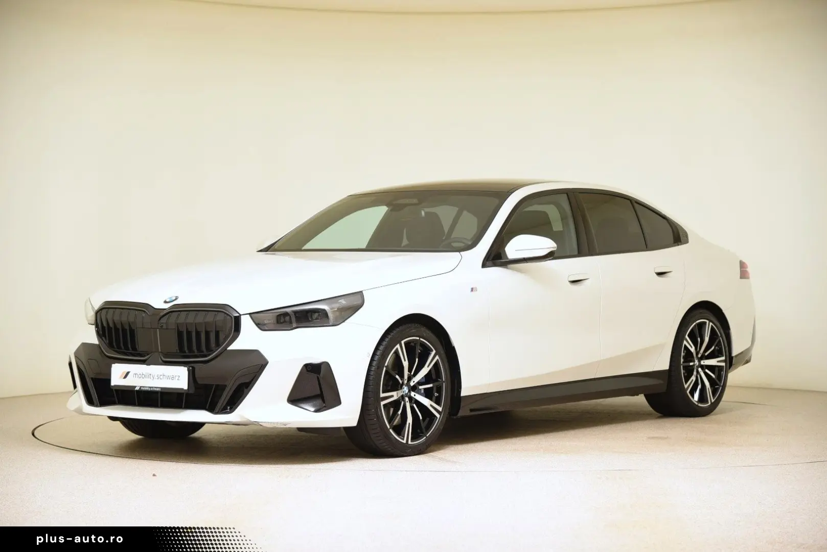 BMW 540d xDrive M Sport Pro ACC LED StandHzg Pano