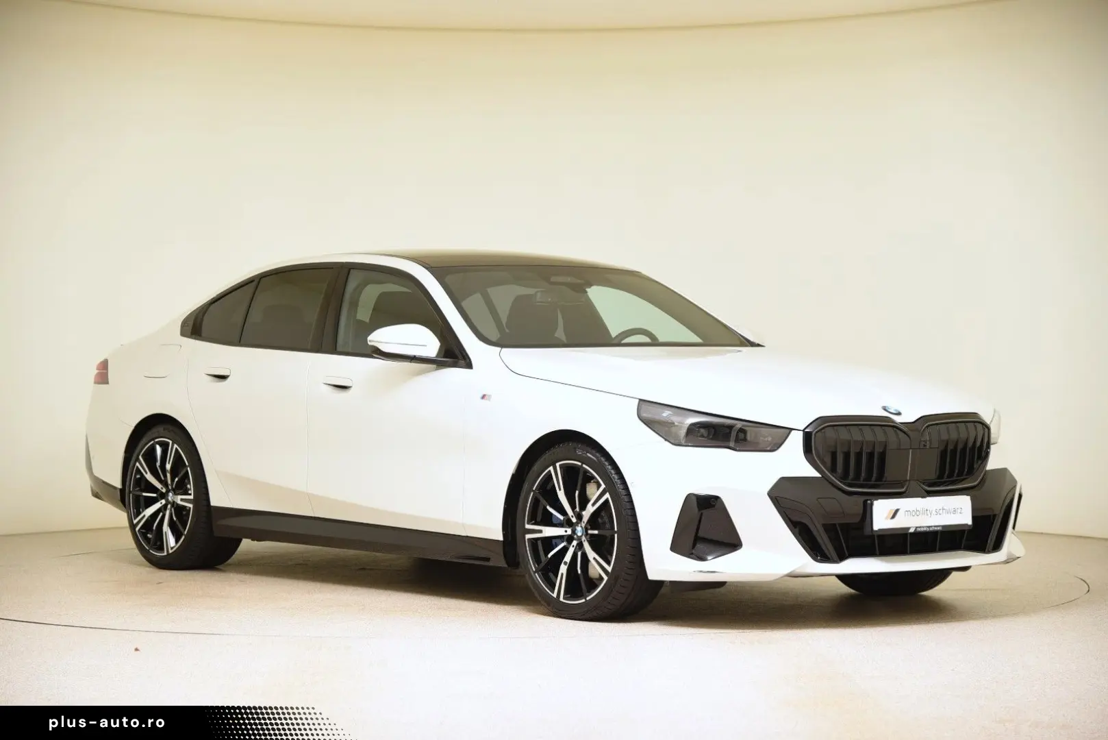 BMW 540d xDrive M Sport Pro ACC LED StandHzg Pano