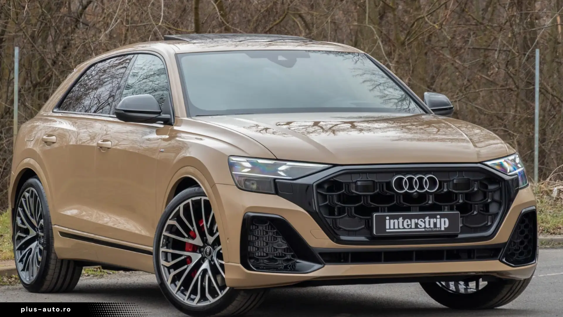 Audi Q8 60 TFSIe S line   489 CP • PANO • B&O