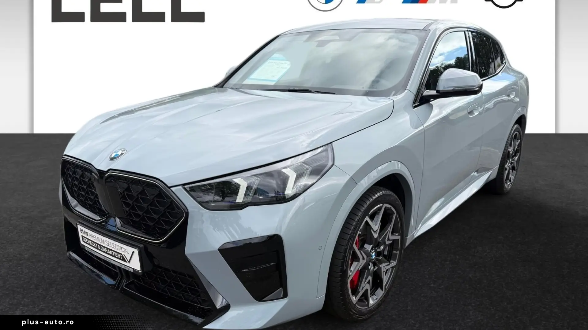 BMW X2 xDrive20d M Sportpaket Head-Up HK HiFi DAB