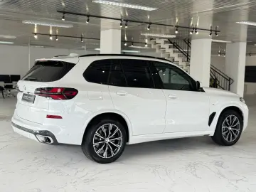 BMW X5 xDrive 30d M Sport Pano Iconic Individual