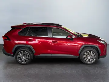 TOYOTA RAV 4 2.5 Hybrid Teamplayer LED Digi CP CAM SHZ