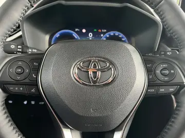 TOYOTA RAV 4 2.5 Hybrid Teamplayer LED Digi CP CAM SHZ