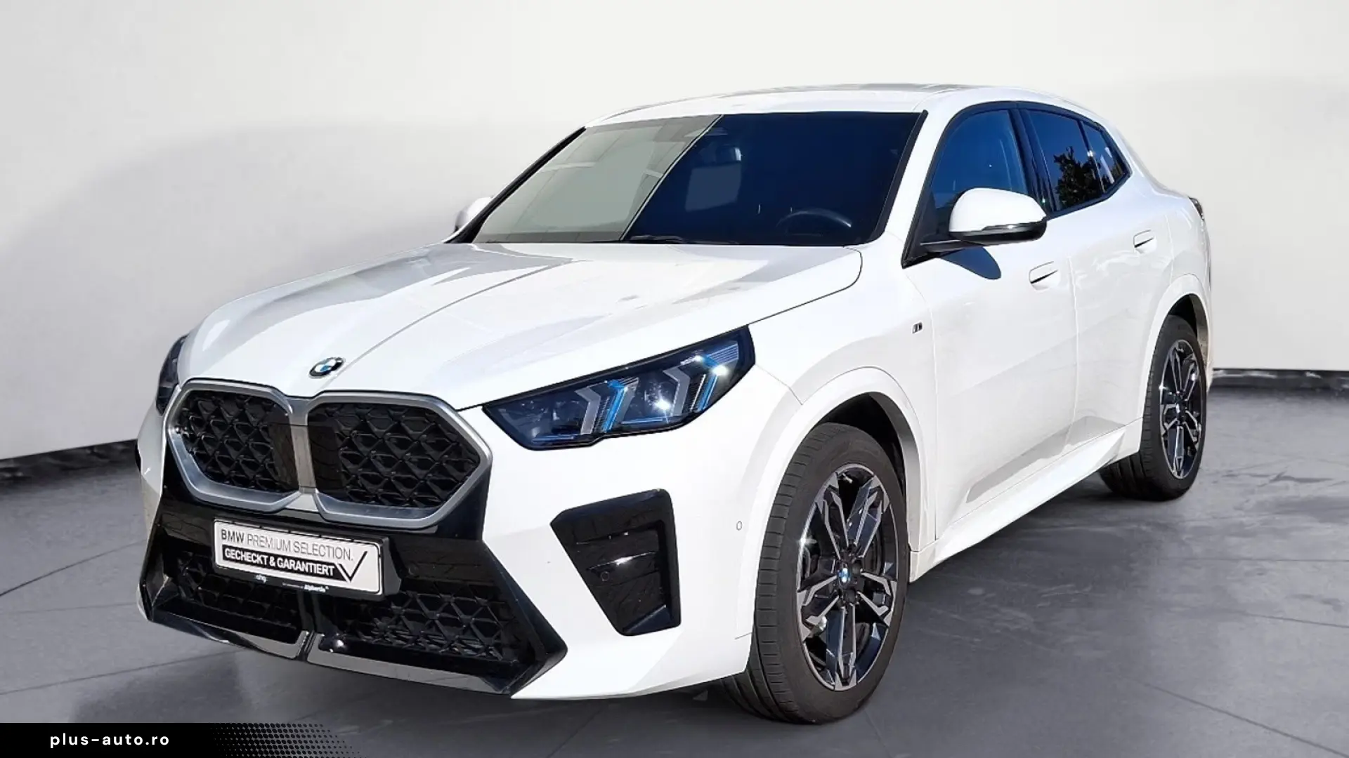 BMW X2 sDrive18d Steptronic DCT Navi DSG
