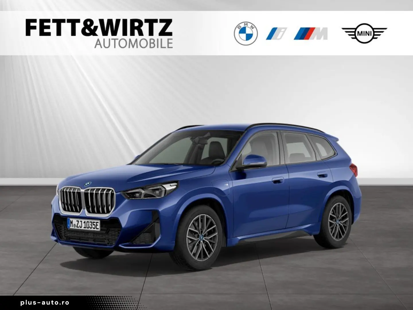 BMW X1 xDrive25e M Sportpaket Parkassistenzsystem