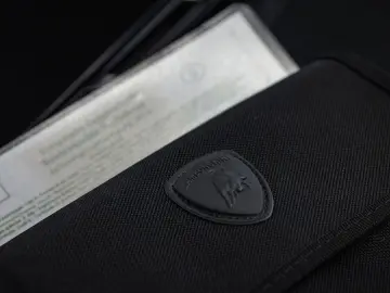 LAMBORGHINI Urus 4.0 V8 Performante Btw auto  (€ 254.504 13