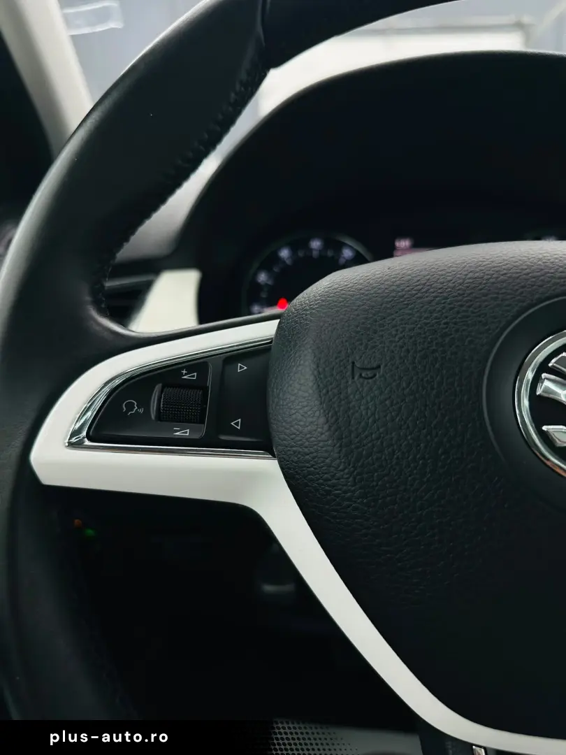 SKODA FABIA 2016 1.0i E6 Garantie 12 Luni Rate Avans 0 Doar