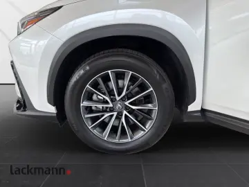 LEXUS NX 450h  E-FOUR Business AHK Leder elektrische S