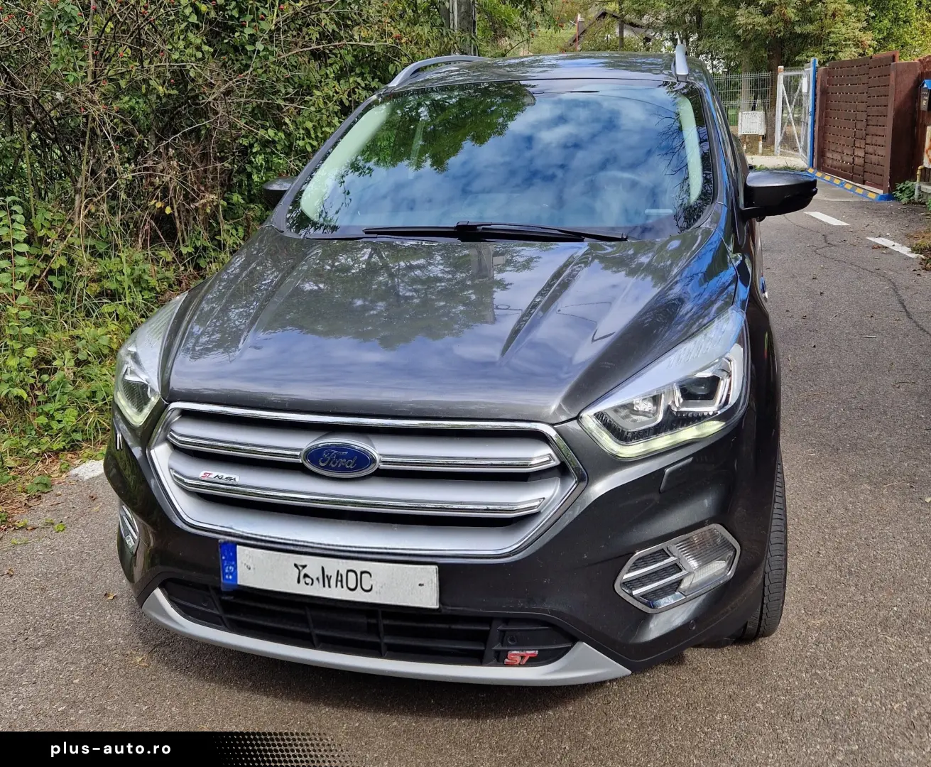 FORD Kuga 2019 — imagine 6