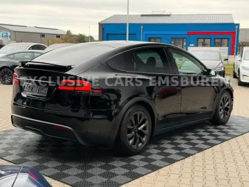 TESLA MODEL X PALLADIUM   WHITE SEAT   MATRIX   AP 4