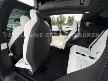 TESLA MODEL X PALLADIUM   WHITE SEAT   MATRIX   AP 4