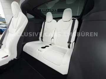 TESLA MODEL X PALLADIUM   WHITE SEAT   MATRIX   AP 4