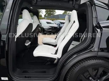 TESLA MODEL X PALLADIUM   WHITE SEAT   MATRIX   AP 4