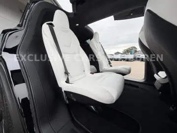TESLA MODEL X PALLADIUM   WHITE SEAT   MATRIX   AP 4