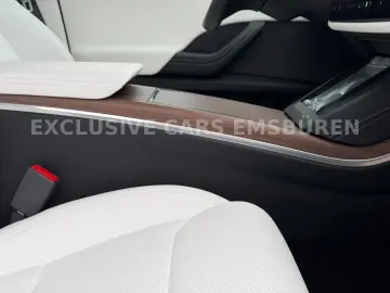 TESLA MODEL X PALLADIUM   WHITE SEAT   MATRIX   AP 4