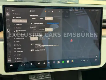 TESLA MODEL X PALLADIUM   WHITE SEAT   MATRIX   AP 4