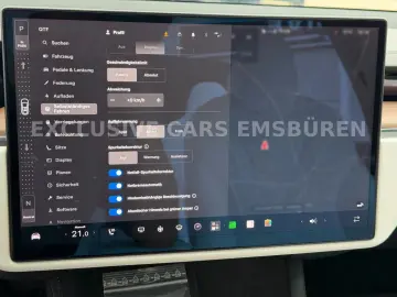 TESLA MODEL X PALLADIUM   WHITE SEAT   MATRIX   AP 4
