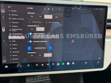 TESLA MODEL X PALLADIUM   WHITE SEAT   MATRIX   AP 4