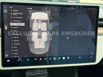 TESLA MODEL X PALLADIUM   WHITE SEAT   MATRIX   AP 4