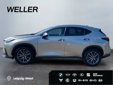LEXUS NX 450h  E-FOUR Business  Bi-LED 360  Leder 4xSH
