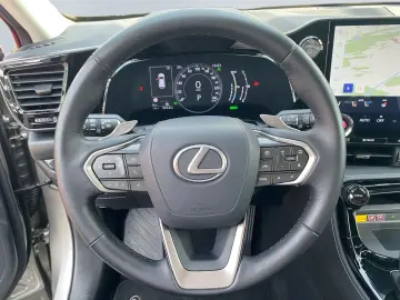 LEXUS NX 450h  E-FOUR Business  Bi-LED 360  Leder 4xSH