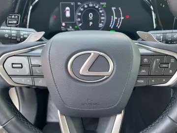 LEXUS NX 450h  E-FOUR Business  Bi-LED 360  Leder 4xSH