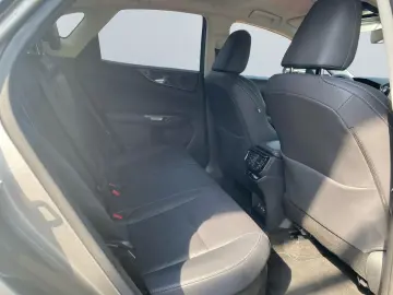 LEXUS NX 450h  E-FOUR Business  Bi-LED 360  Leder 4xSH