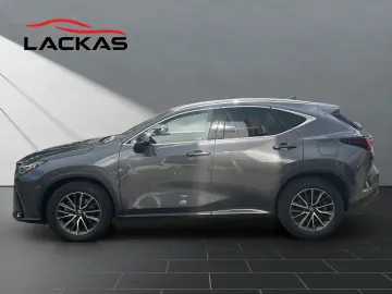 LEXUS NX 350h Business 360  TOTW PDC SITZLÜFTUNG
