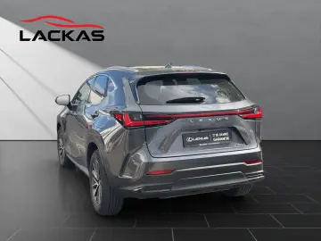 LEXUS NX 350h Business 360  TOTW PDC SITZLÜFTUNG