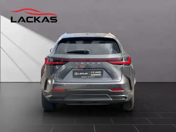LEXUS NX 350h Business 360  TOTW PDC SITZLÜFTUNG