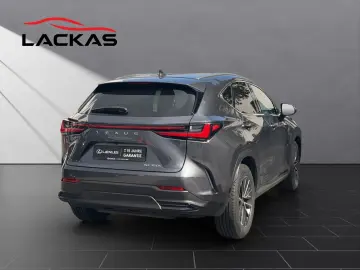 LEXUS NX 350h Business 360  TOTW PDC SITZLÜFTUNG