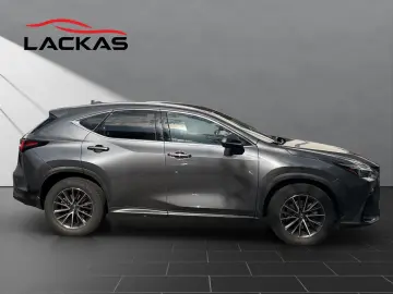 LEXUS NX 350h Business 360  TOTW PDC SITZLÜFTUNG