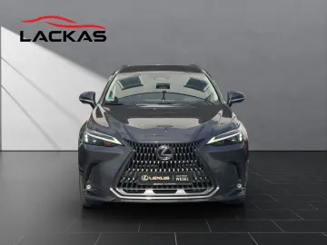 LEXUS NX 350h Business 360  TOTW PDC SITZLÜFTUNG