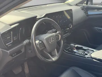 LEXUS NX 350h Business 360  TOTW PDC SITZLÜFTUNG
