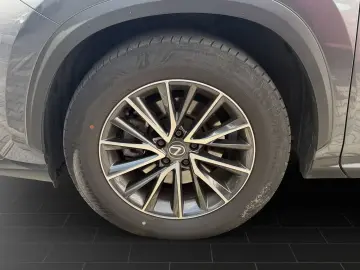 LEXUS NX 350h Business 360  TOTW PDC SITZLÜFTUNG