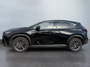 LEXUS NX 350h  LED Digi CP CAM ACC CarPlay Schaltwippe