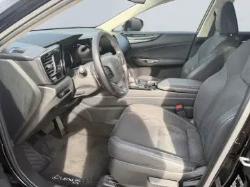LEXUS NX 350h  LED Digi CP CAM ACC CarPlay Schaltwippe
