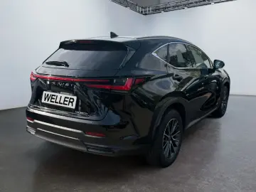 LEXUS NX 350h  LED Digi CP CAM ACC CarPlay Schaltwippe
