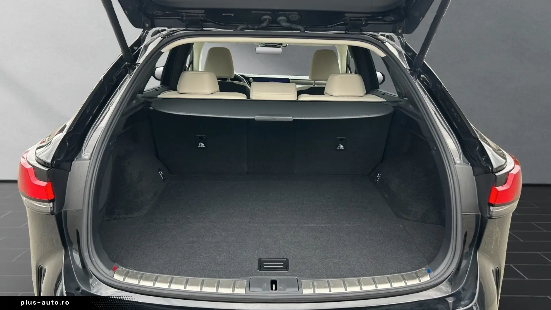 Lexus RX 450h  E-Four Luxury Line Panorama